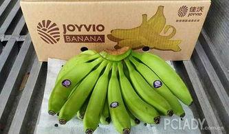 大香蕉之国产,大香蕉之国的繁荣与传奇